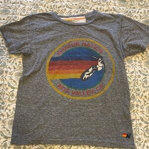 Aviator Nation Gray Kids Tee with Colorful Graphic